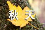 (優(yōu)選)秋天的圖畫作文8篇