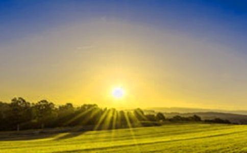 ���ճ����ľ��x10ƪ