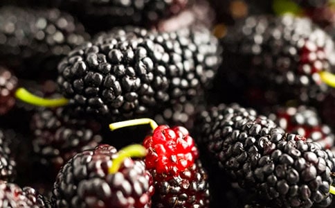 【通用】摘桑葚作文15篇