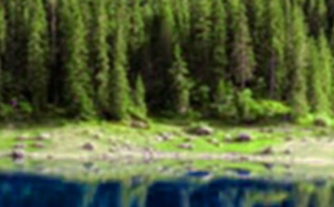 描寫山水的詩句430句