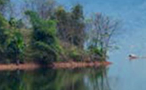 山水的詩句優秀(15篇)