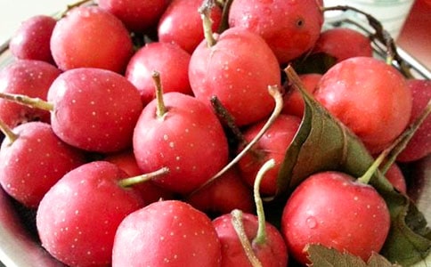 山楂樹之戀觀后感8篇