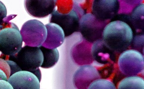 有關于水果的諺語