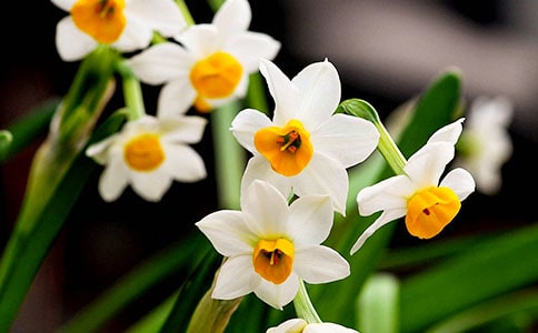 [����]ˮ�ɻ�����