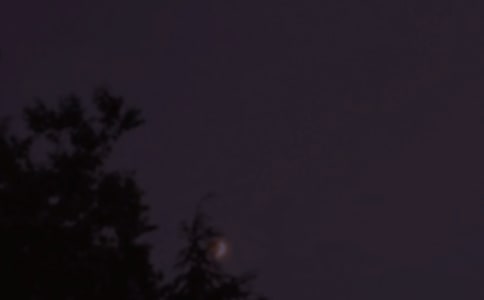 �������õ��������Z���ż��\47��