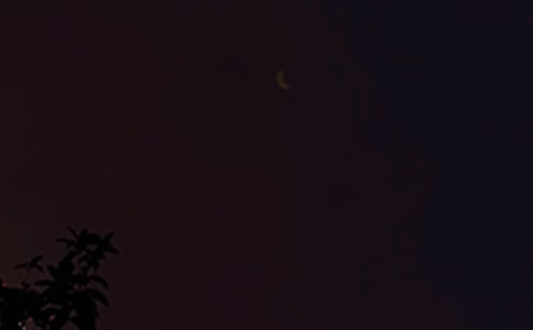 精選治愈系晚安心語短信匯編64條