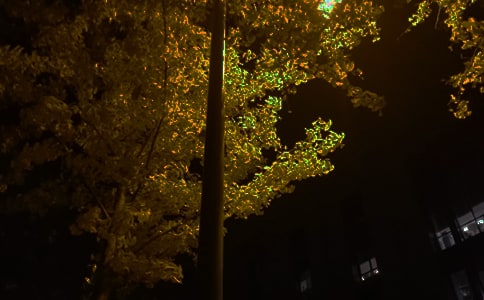 最新朋友圈晚安短信(精選190句)