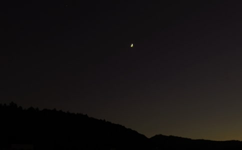 2024�꺆����Ψ�����������Z���ŅR��53�l