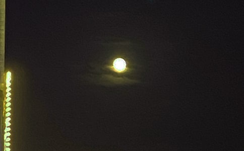 �����Ĝ�ܰ���������Z����33�l