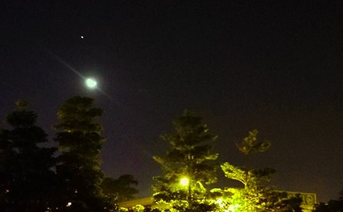 ÿ������ף������