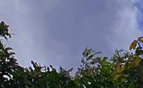 �����簲�f�f��ͨ��40�䣩