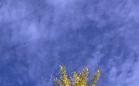 ��־�簲���ţ����x90�䣩