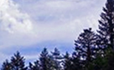 2026年優(yōu)美的午安問候語短信集錦84條