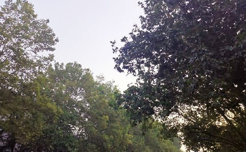 ��ܰ�簲�f�f40��