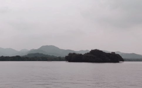 �����A���P��������Ԋ��