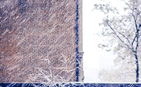 ��ѩ�˿��D��Ԓ����[15ƪ]