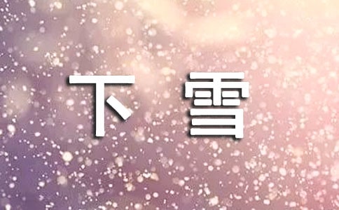 描寫(xiě)下雪的詩(shī)句13篇