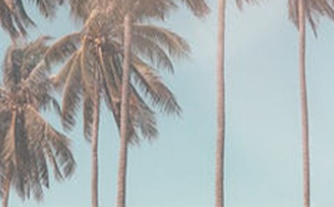 有關于夏季的詩句