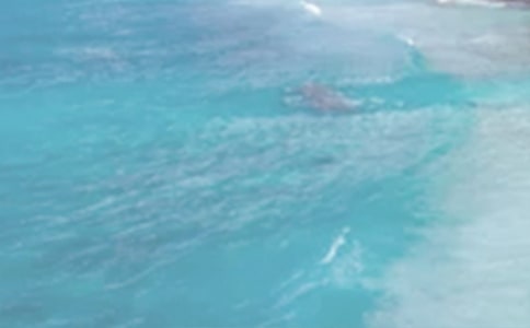 夏日不做痘花妹美白祛痘一次搞定