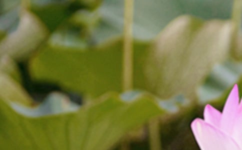 �������V�Z