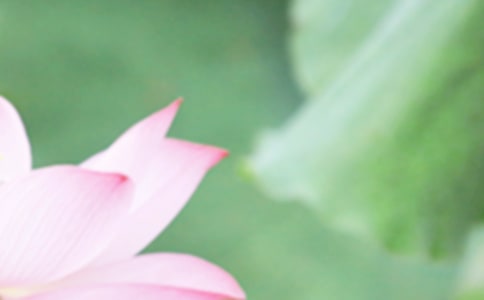 ���������V�Z150��