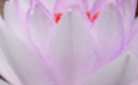 �����������\��[15ƪ]