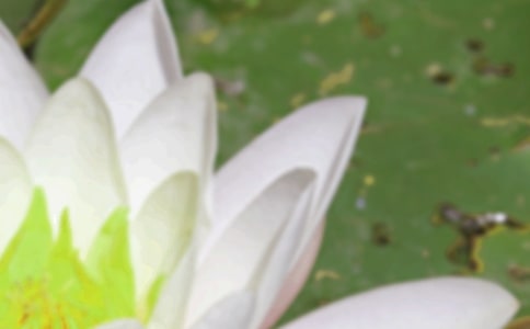 ����ף�����ţ����x170�l��