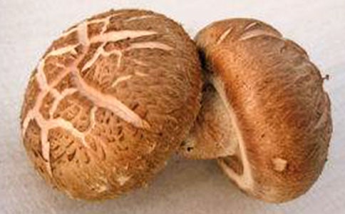 香菇肉釀的做法