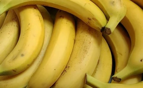 �y���㽶Ƥ���D��Ԓ[��(y��u)��]