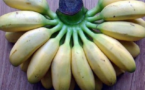 【精選】三年級香蕉作文300字4篇