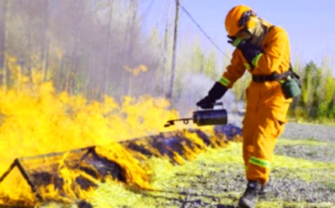 �������������}