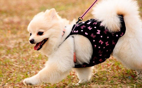 �Һ�С���ă�������6ƪ