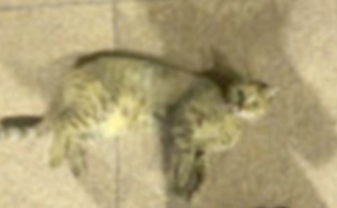 С؈�W������