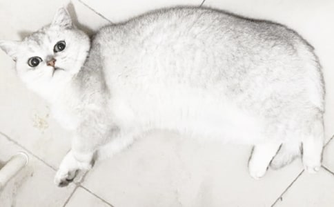 С؈������