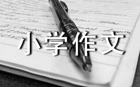 【必備】美麗的小學(xué)作文300字