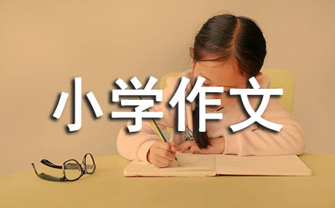 我的小學作文10篇【優(yōu)秀】