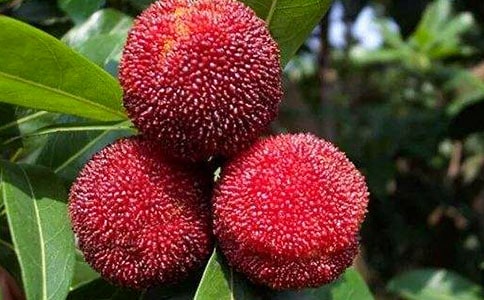 �Ґۼ��l�ė�÷����(15ƪ)