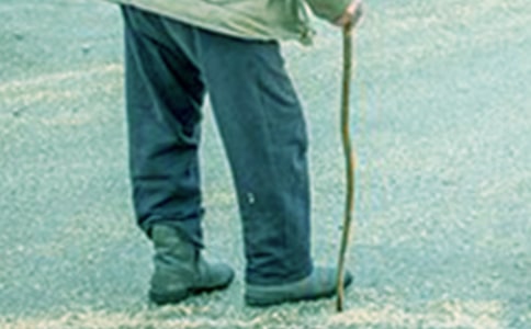 ף���������̵ľ��ӣ�210�䣩