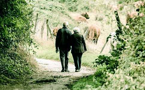 【必備】我的爺爺的作文合集八篇