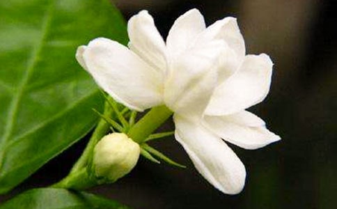 ҹ��������[��Ʒ14ƪ]