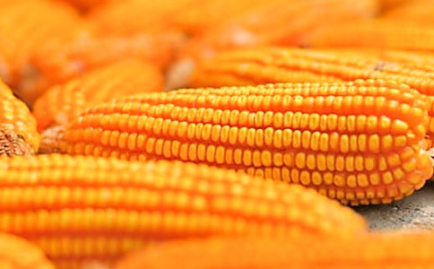 ��������600�ֺϼ�10ƪ