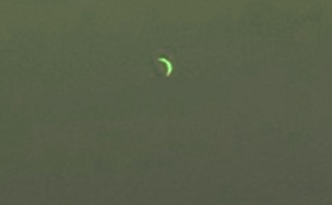 關于月亮的詩句古詩