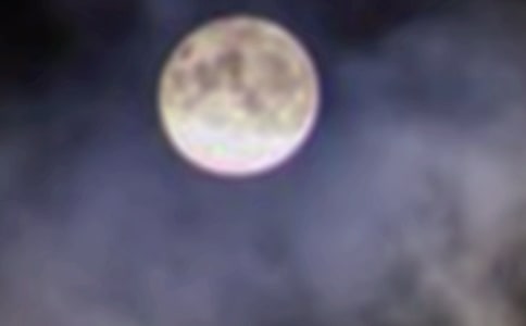 又是一年月圓時作文(集合9篇)