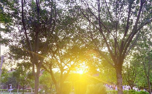 ���؂䡿2024���m�����ϰl(f��)���簲���Z���Ŵ�R��56��