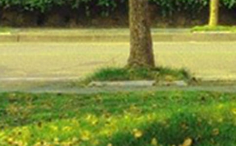 【實用】美好的早安心語短信集錦48句