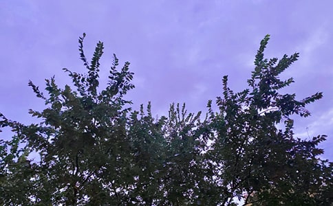 最新暖心早安說說90句精選