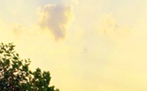 有關真誠溫暖的早安心語短信集錦54句