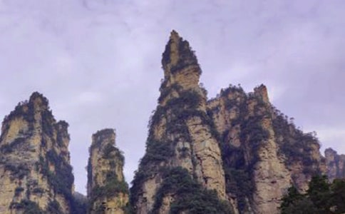 ���ҽ�֮������