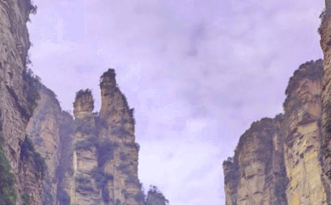 �����T���Ώ��ҽ�����