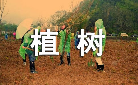 二年級看圖寫話植樹